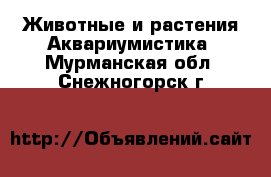 Животные и растения Аквариумистика. Мурманская обл.,Снежногорск г.